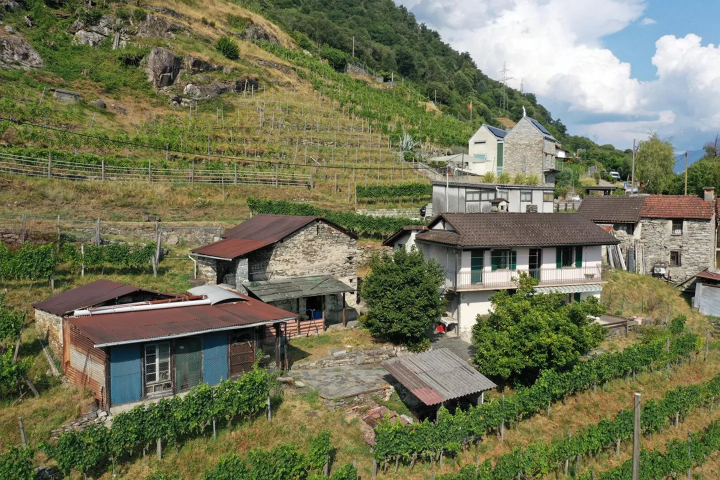 Haus inmitten von Rebbergen, schöne Weitsicht bis auf den Lago Maggior - Foto 3 di 17