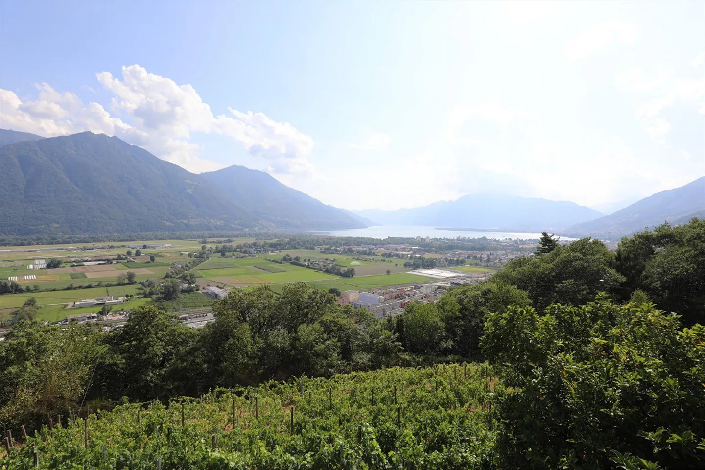 Haus inmitten von Rebbergen, schöne Weitsicht bis auf den Lago Maggior - Foto 16 di 17
