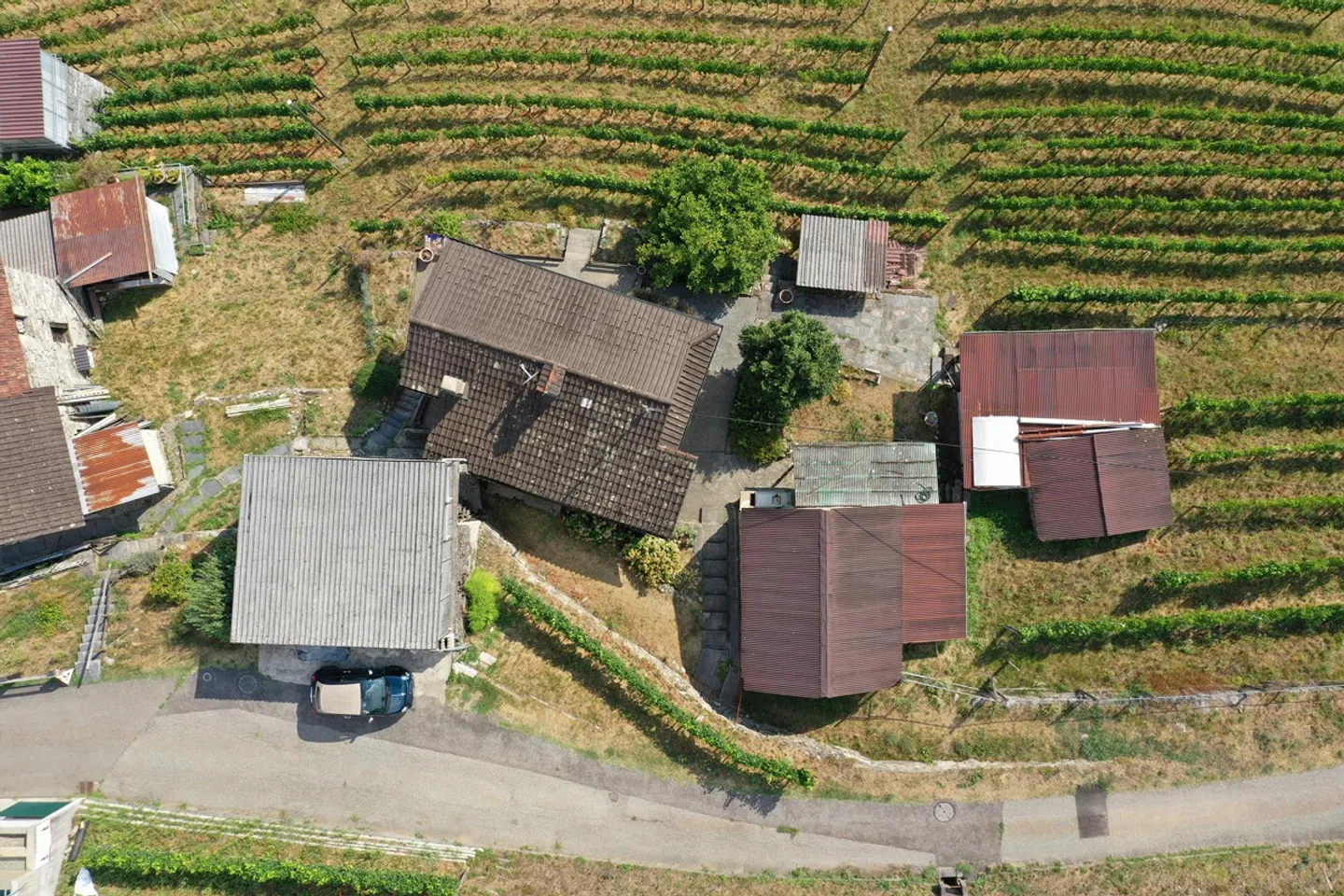 Haus inmitten von Rebbergen, schöne Weitsicht bis auf den Lago Maggior - Foto 17 di 17