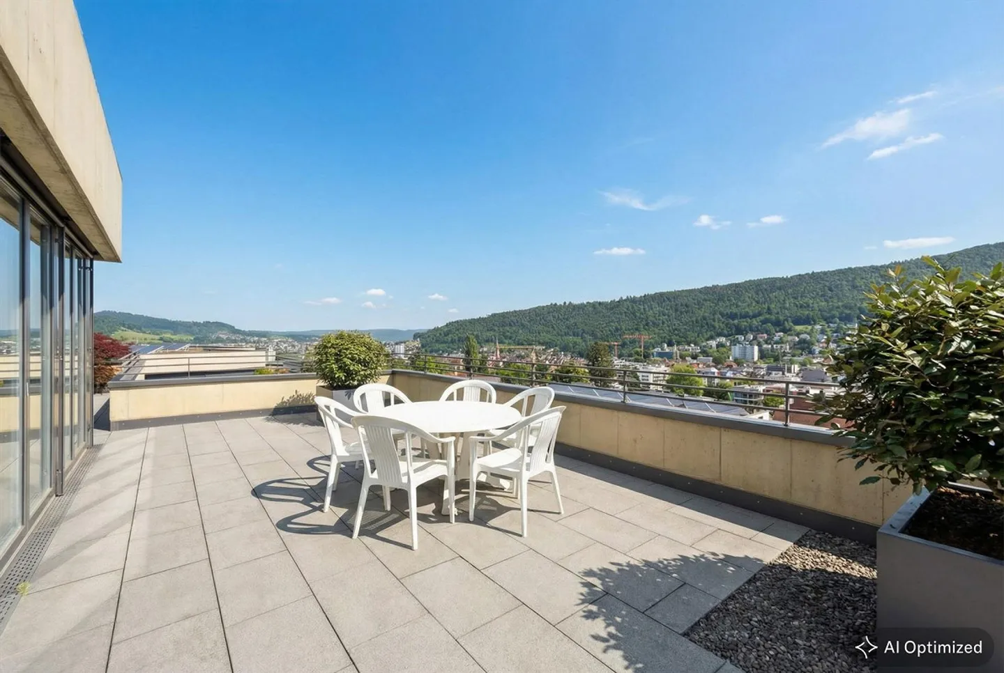Penthouse above Liestal with Heart and Horizon - Photo 9 of 21