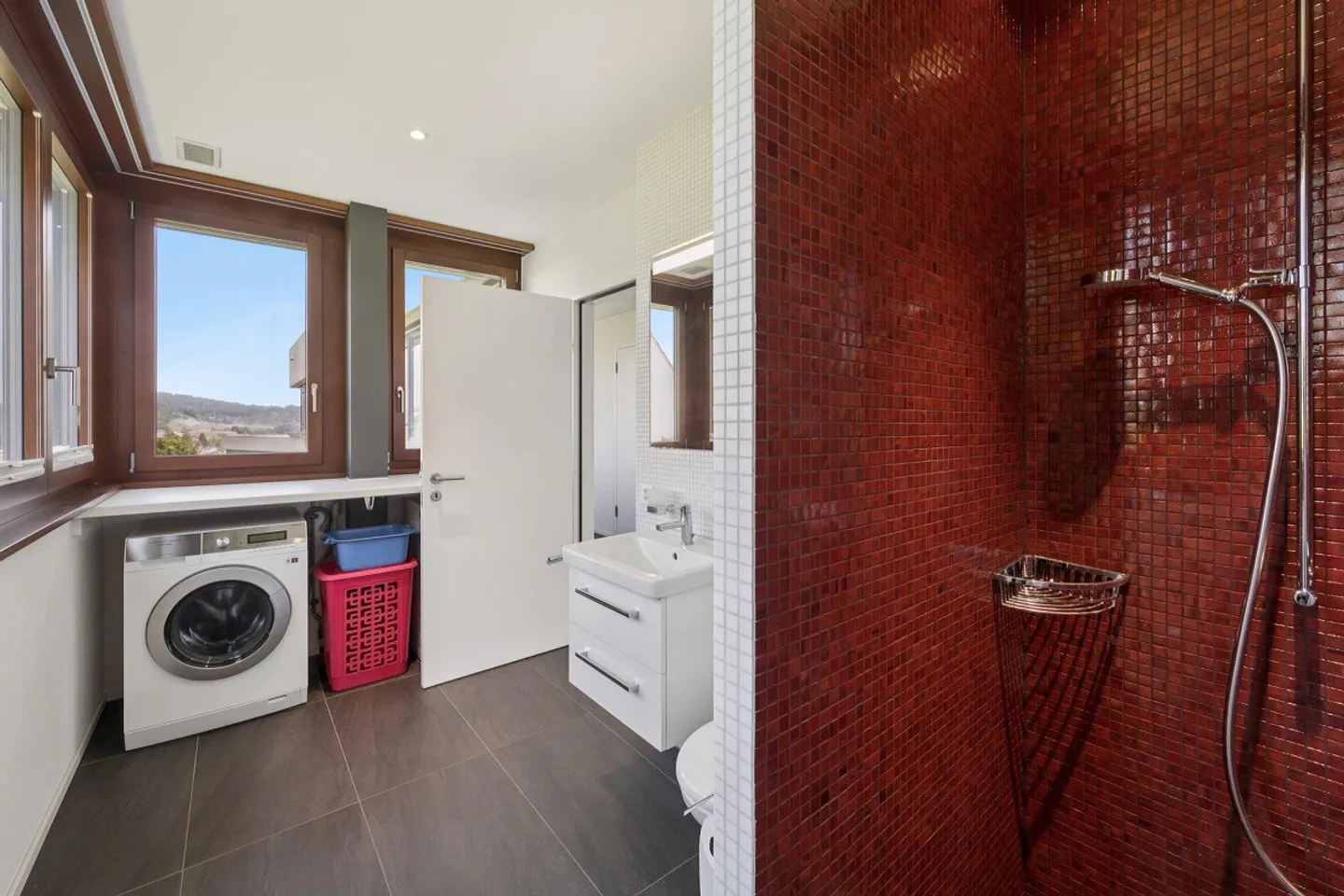 Penthouse above Liestal with Heart and Horizon - Photo 17 of 21