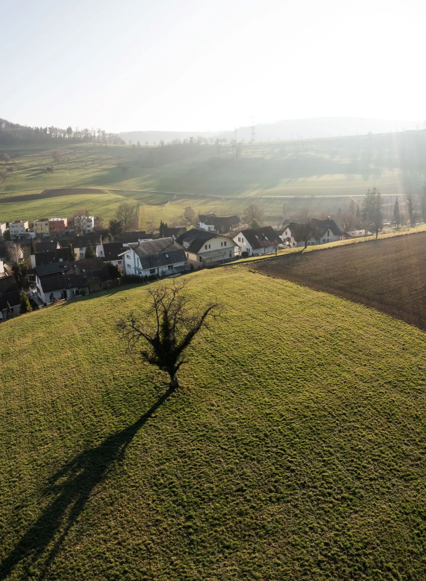 Casa multigenerazionale / due case a schiera con garage e giardino - Foto 7 di 39