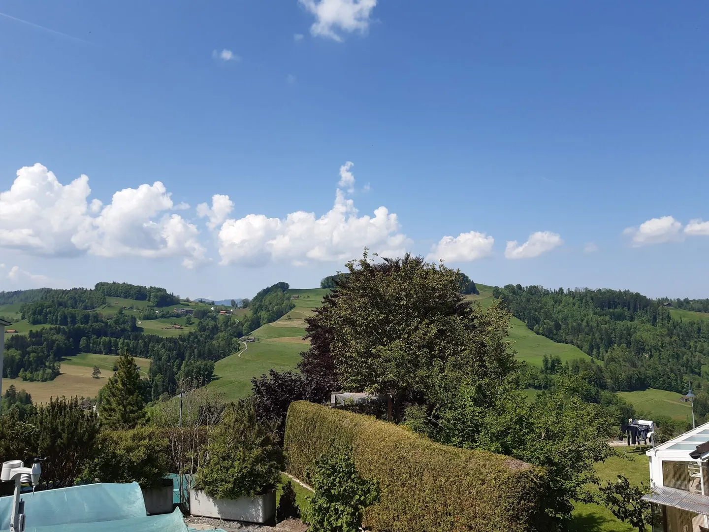 Sviluppo Sonnmatt: Appartamento C 2.1 (2° permesso di soggiorno) - Foto 24 di 41