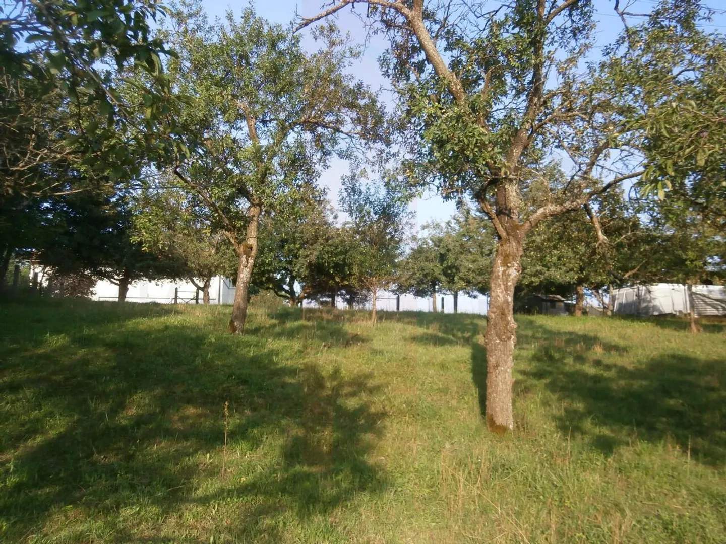 Baugrundstück mit Landschaftsblick - Foto 3 von 10