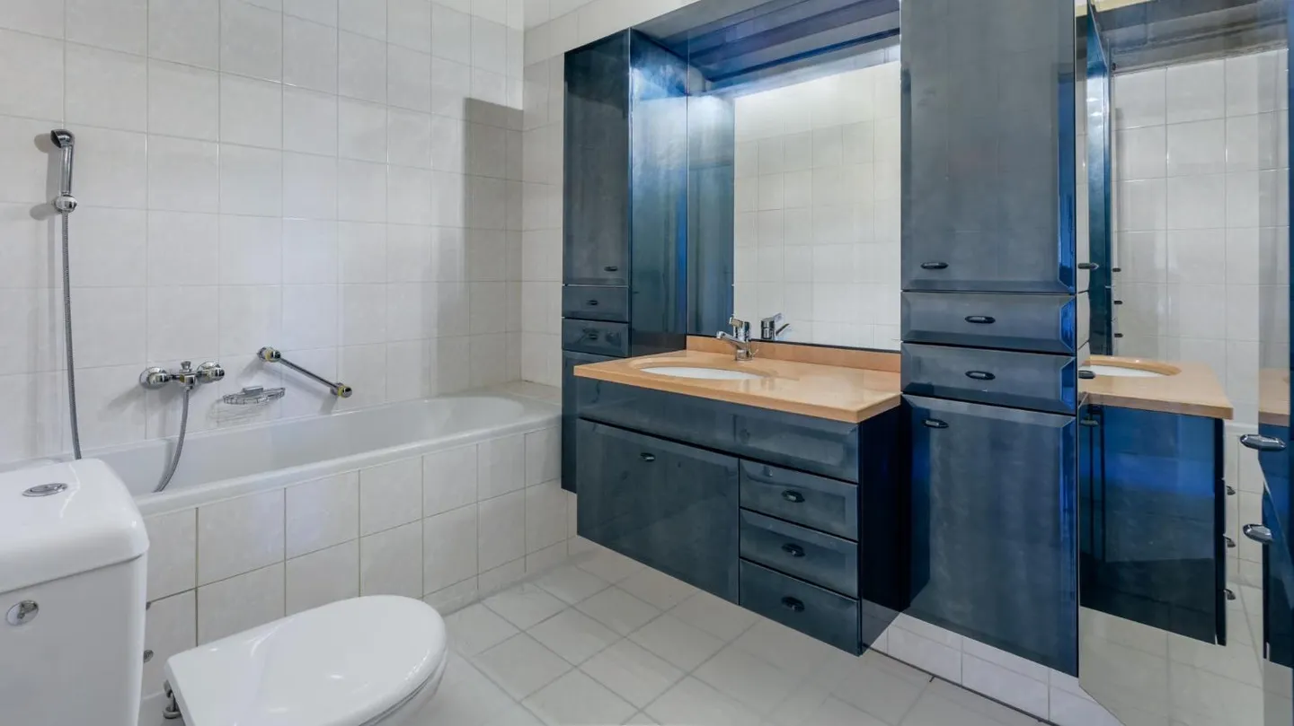 Exclusively - Bright crossing apartment with unobstructed view in the heart of Geneva - Photo 10 of 11