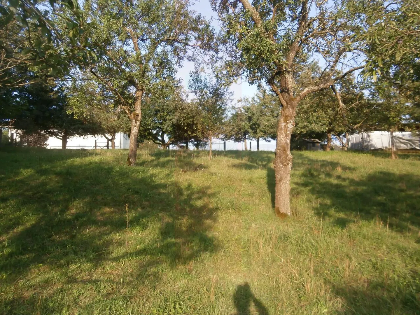 Baugrundstück mit Landschaftsblick - Foto 9 von 10