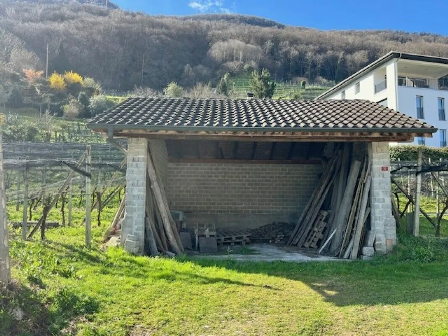 Geräumiges Baugrundstück in Contone - Foto 9 von 11