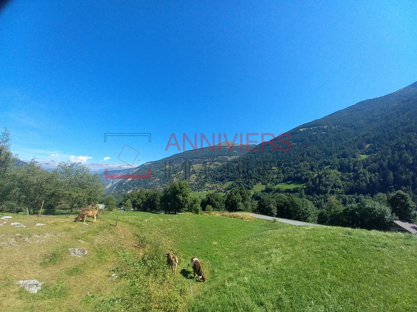 Spacious Penthouse Apartment - 4 Rooms - Free and Sunny View - Photo 3 of 13