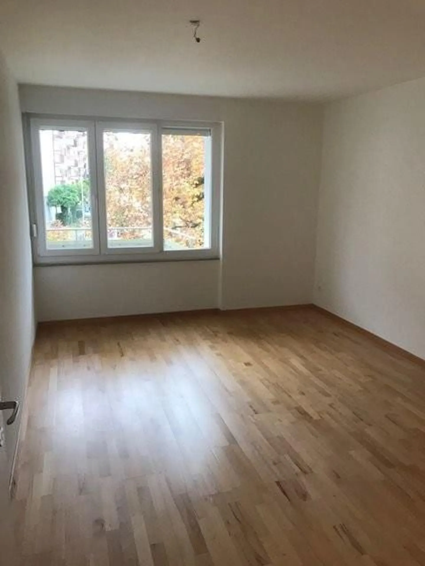 Living by the Aare - Photo 4 of 8