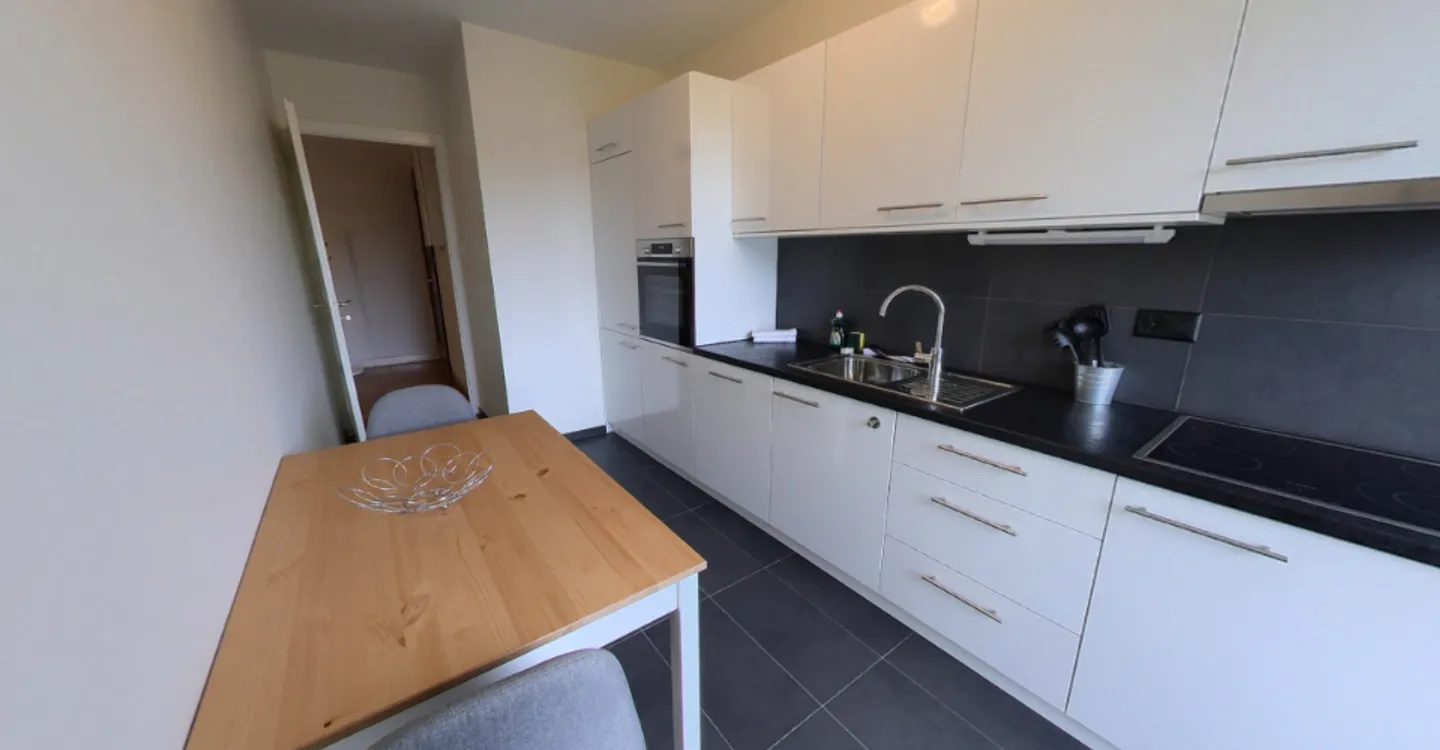 Appartement spacieux de 2 chambres meublé avec balcon et vue sur la rivière à Genève - Photo 4 sur 14