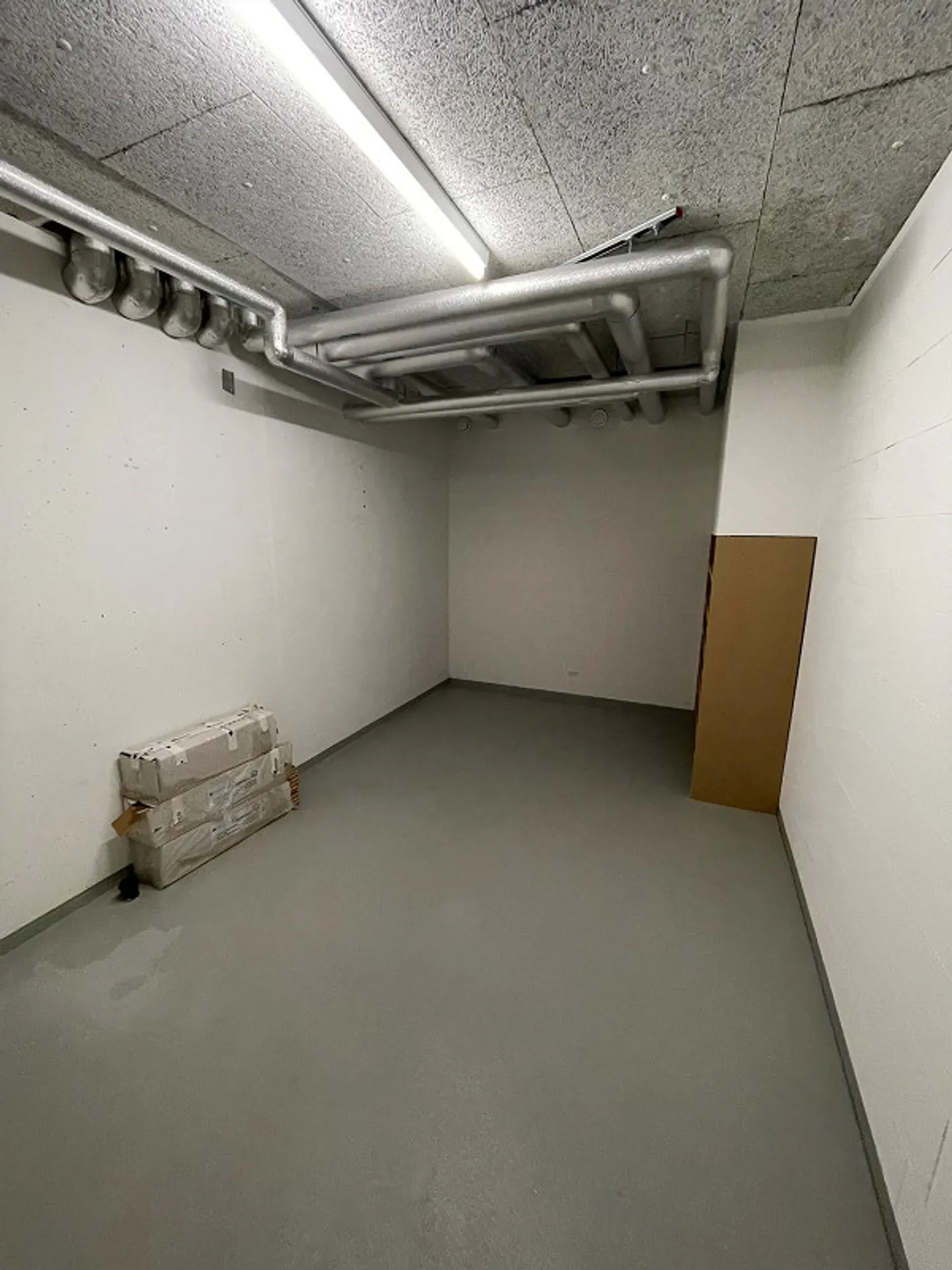 Diaspora Room / Storage Room: Large, Easy Access, Heated - Photo 6 of 6
