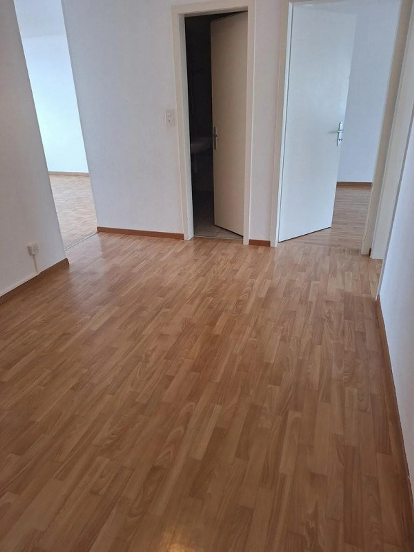 Bright 3-room apartment with balcony and lake view - Photo 6 of 6