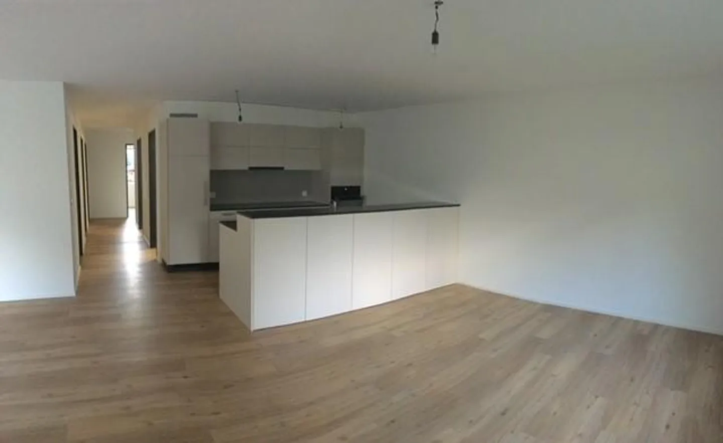Moderno appartamento di 4,5 stanze con vista mozzafiato sulle montagne ad Attinghausen - Foto 3 di 10