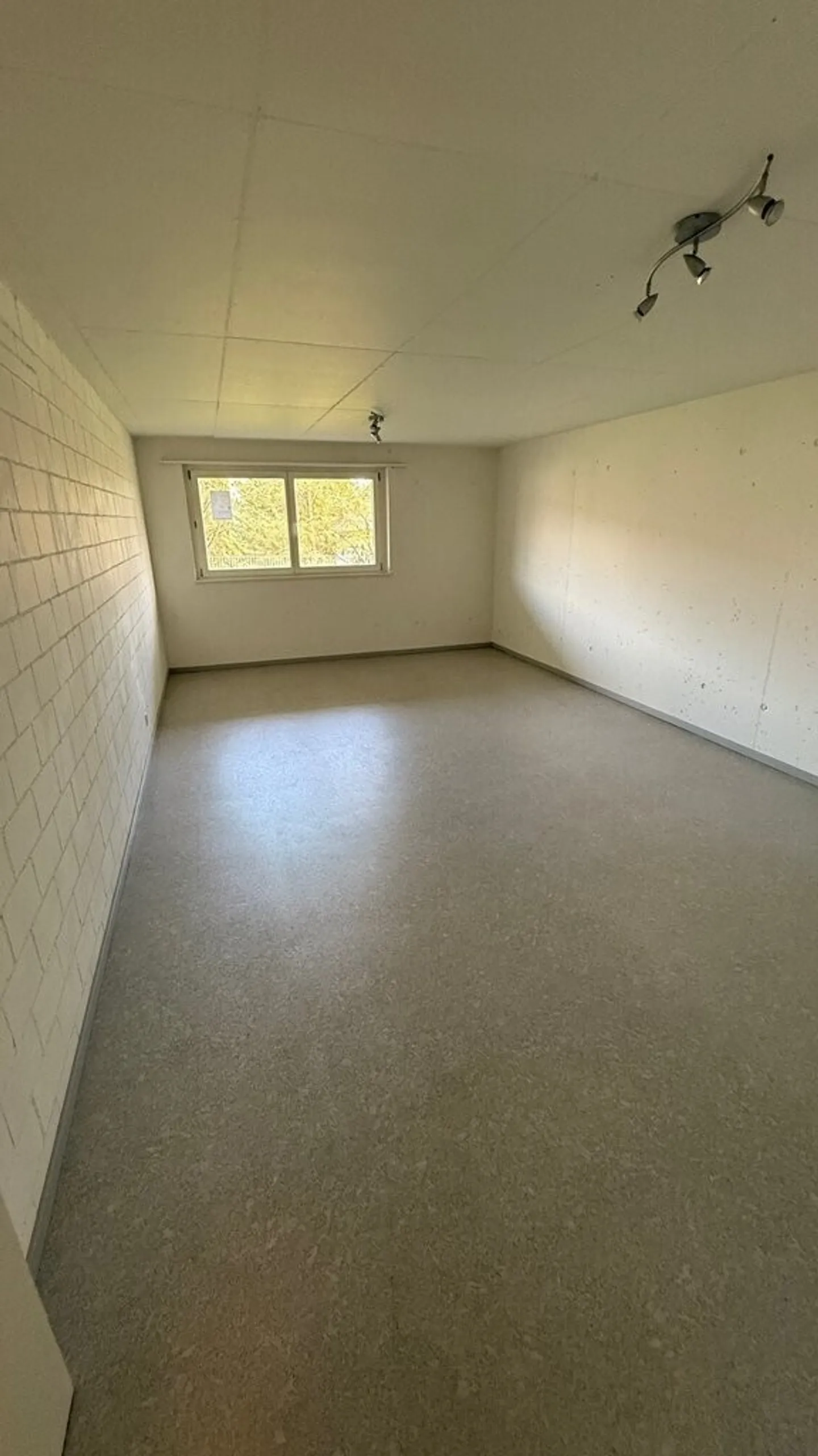 Immobilie mieten - Foto 2 von 4