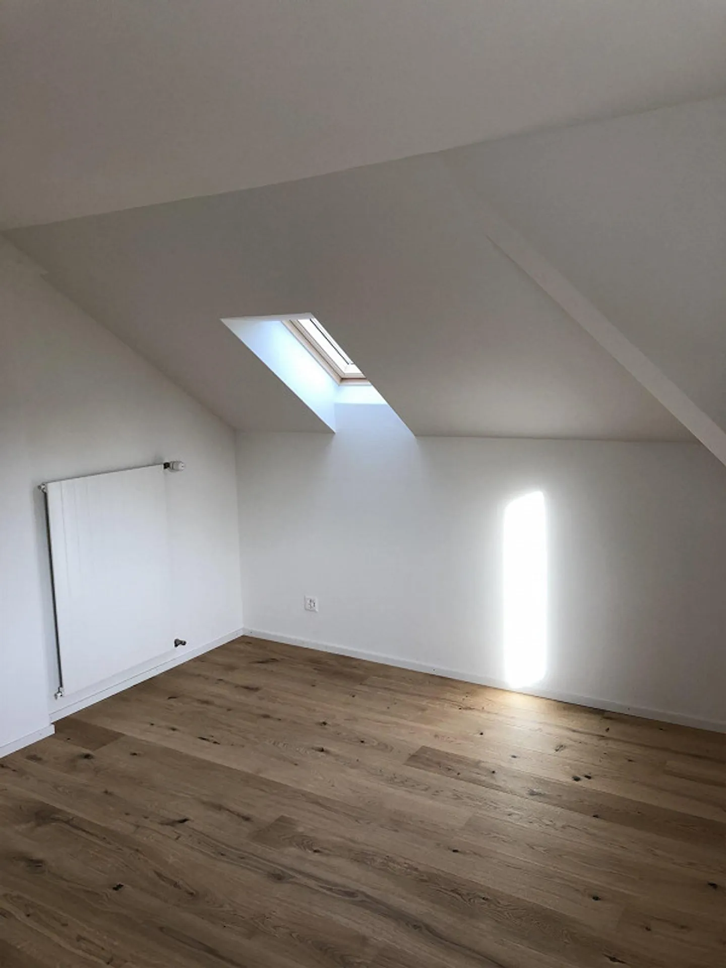 Penthouse on the Wesemlin - Photo 6 of 25