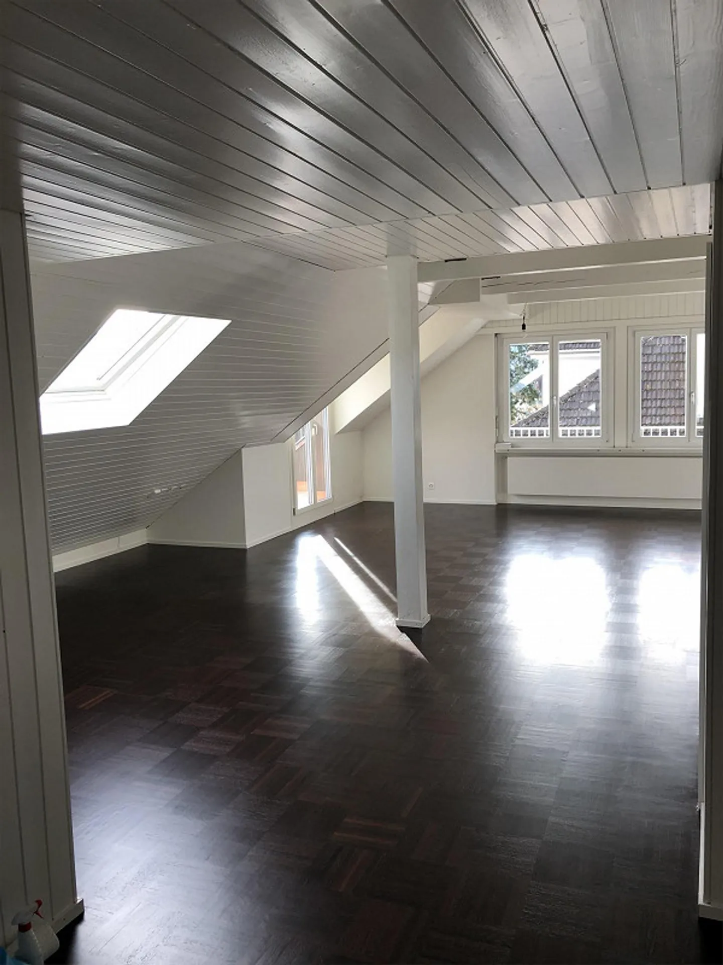 Penthouse on the Wesemlin - Photo 7 of 25