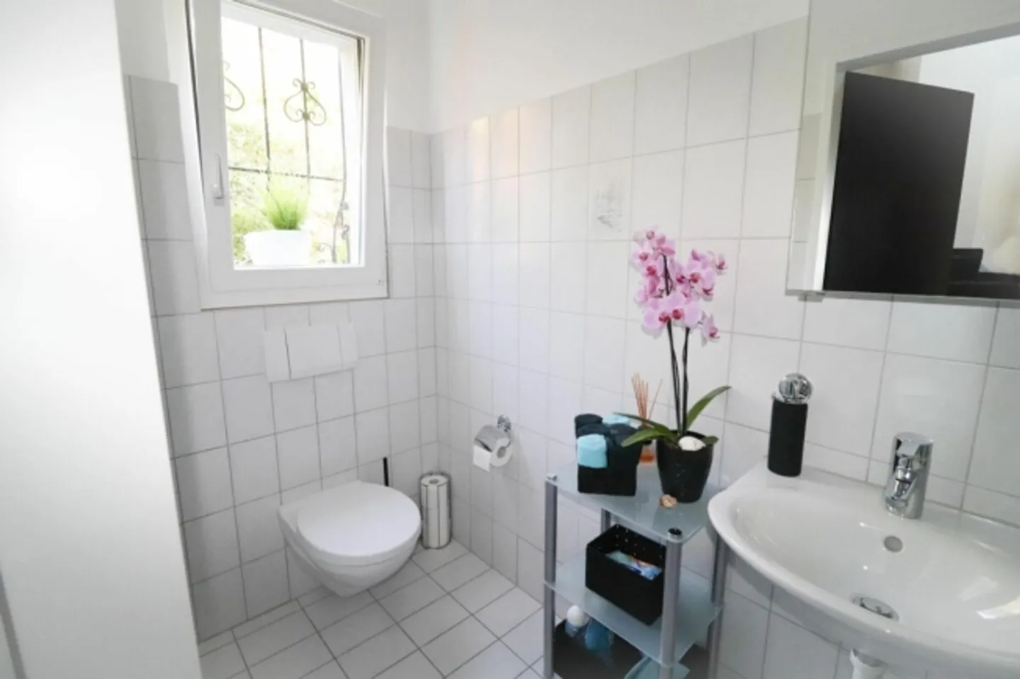 Spacious 4.5 Room Single Family Home with 60 m2 Large Terrace and Stunning View up to the Alps - Photo 8 of 16