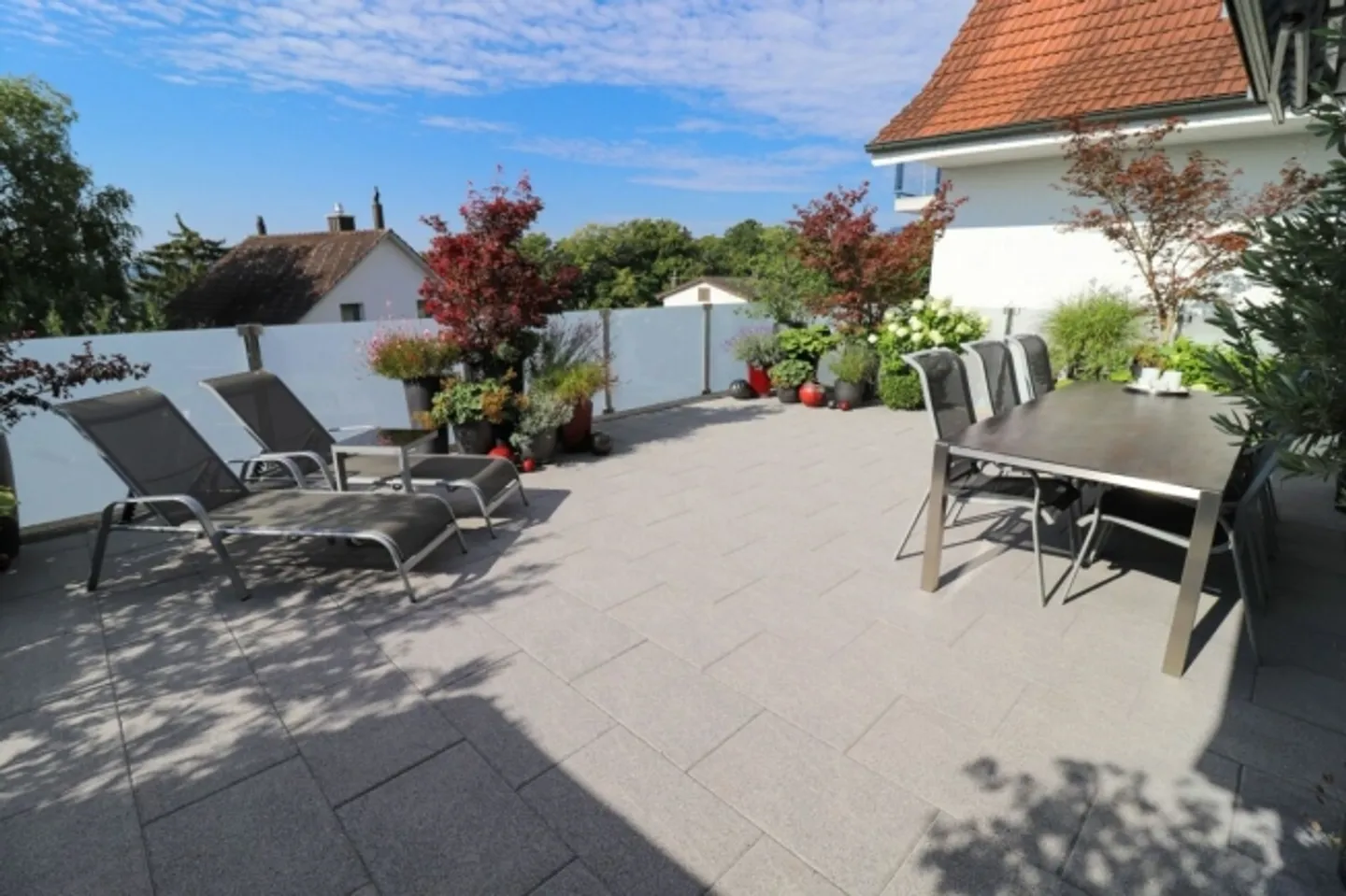 Spacious 4.5 Room Single Family Home with 60 m2 Large Terrace and Stunning View up to the Alps - Photo 13 of 16