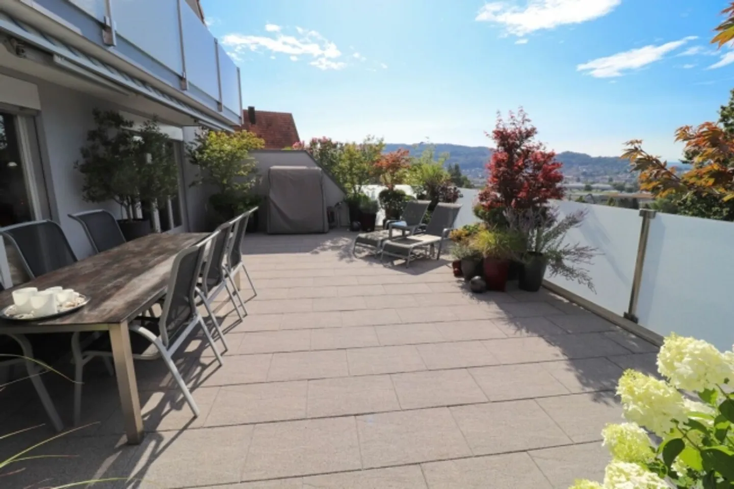 Spacious 4.5 Room Single Family Home with 60 m2 Large Terrace and Stunning View up to the Alps - Photo 14 of 16
