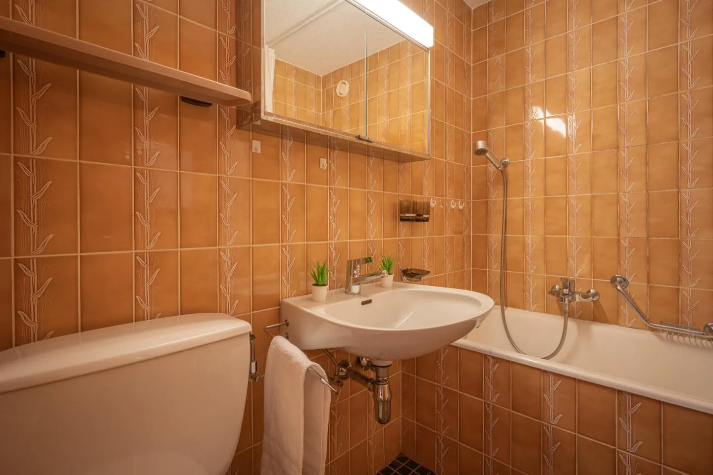 2.5 Room Apartment - Photo 13 of 14