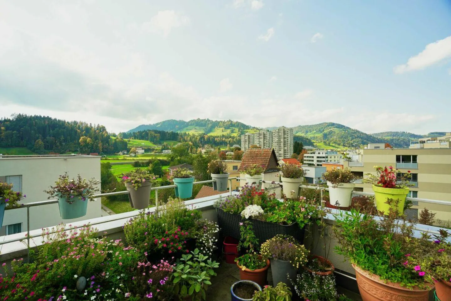 Moderno appartamento attico di 2,5 locali con terrazza solare - Foto 2 di 9