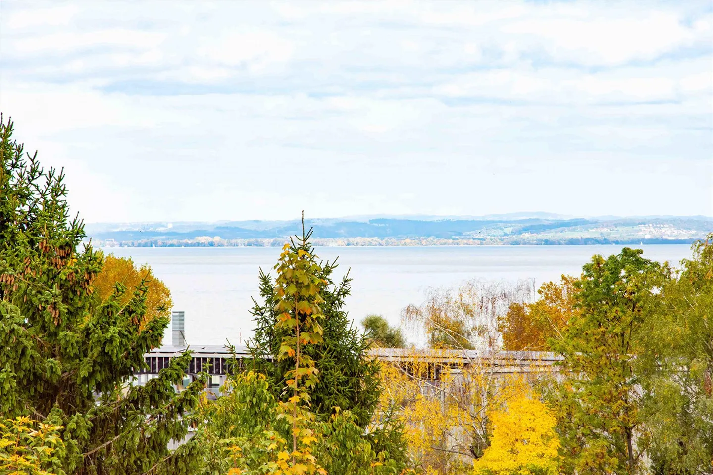 Charming 4.5 Room Condominium at Lake Constance in Goldach - Photo 10 of 12