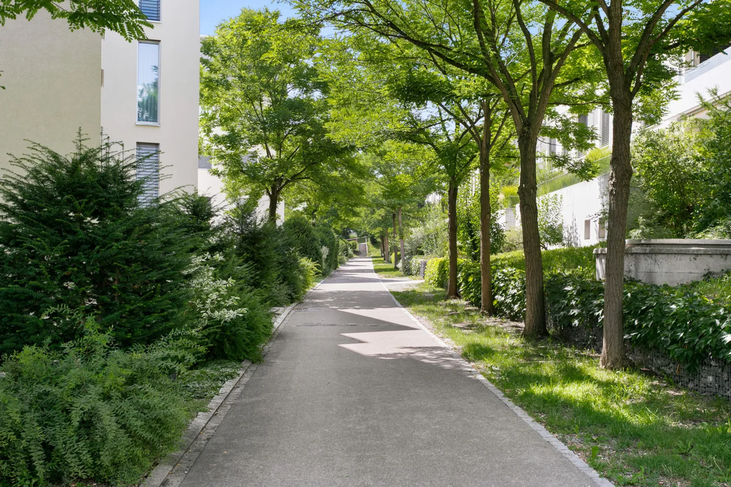 Energy-efficient home with plenty of light and sunny balcony - Photo 6 of 7