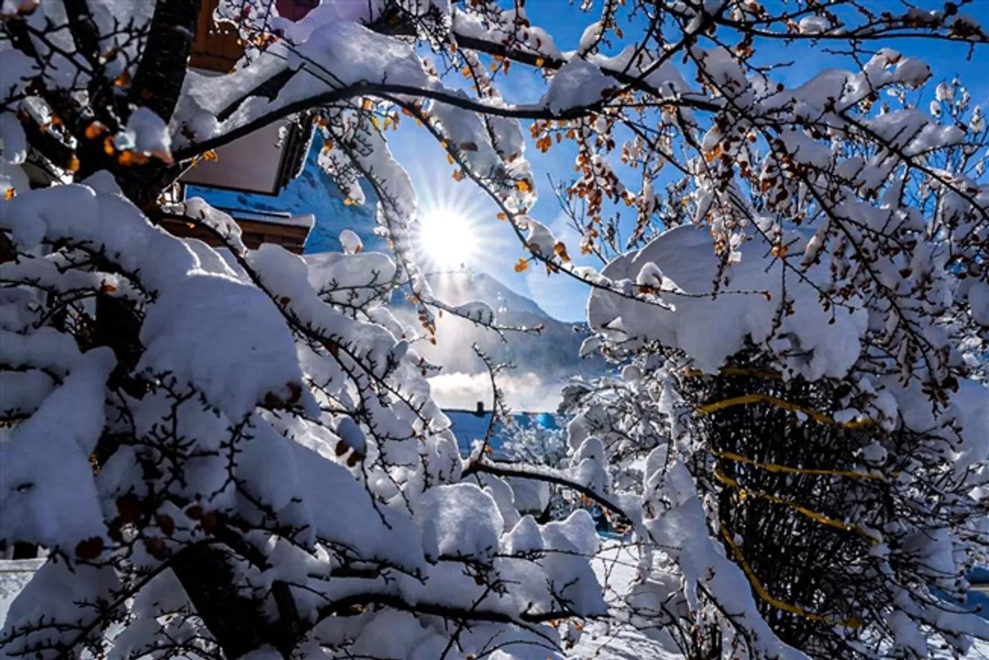 Appartamento in vendita, Rotenegg, nel distretto di Interlaken-Oberhasli, Svizzera - Foto 3 di 5