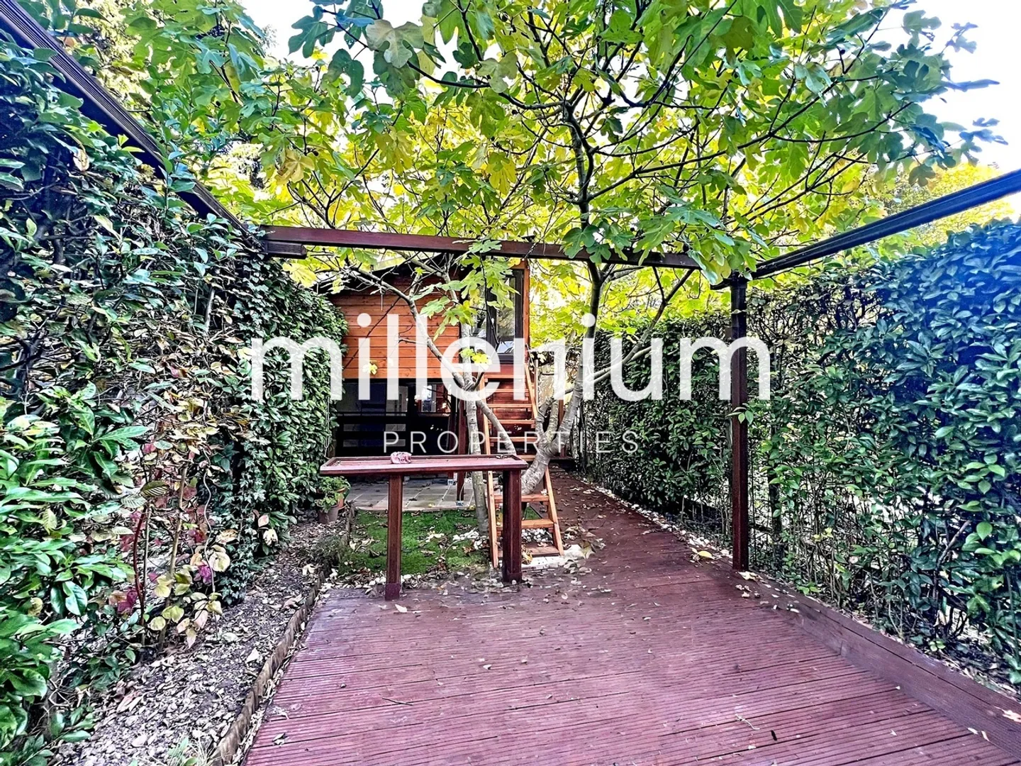 Single house for rent - Photo 2 of 11