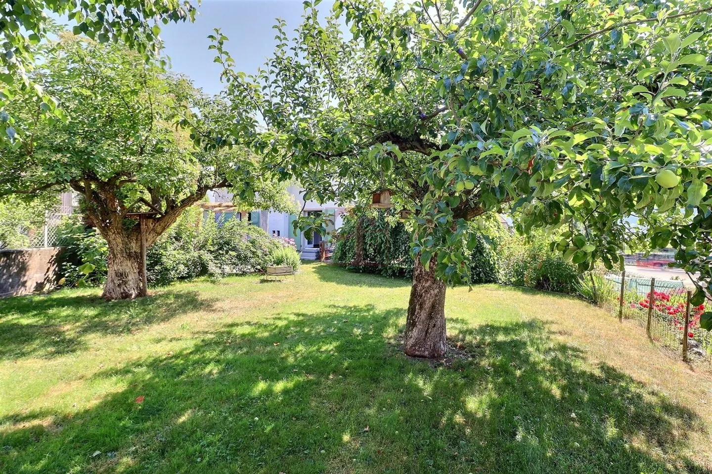 Grand 2.5 pc. (env. 75 m2) avec magnifique jardin arborisé  - Photo 2 of 16