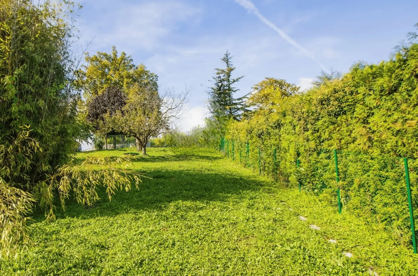 Co-living with Large Spaces (indoor and outdoor) - Photo 6 of 6