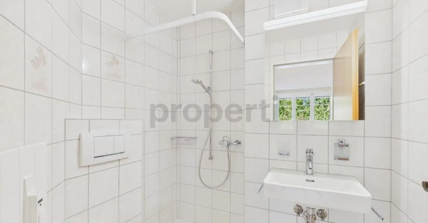 Freshly Renovated 2026: Spacious Living in a Quiet Location - Photo 11 of 13