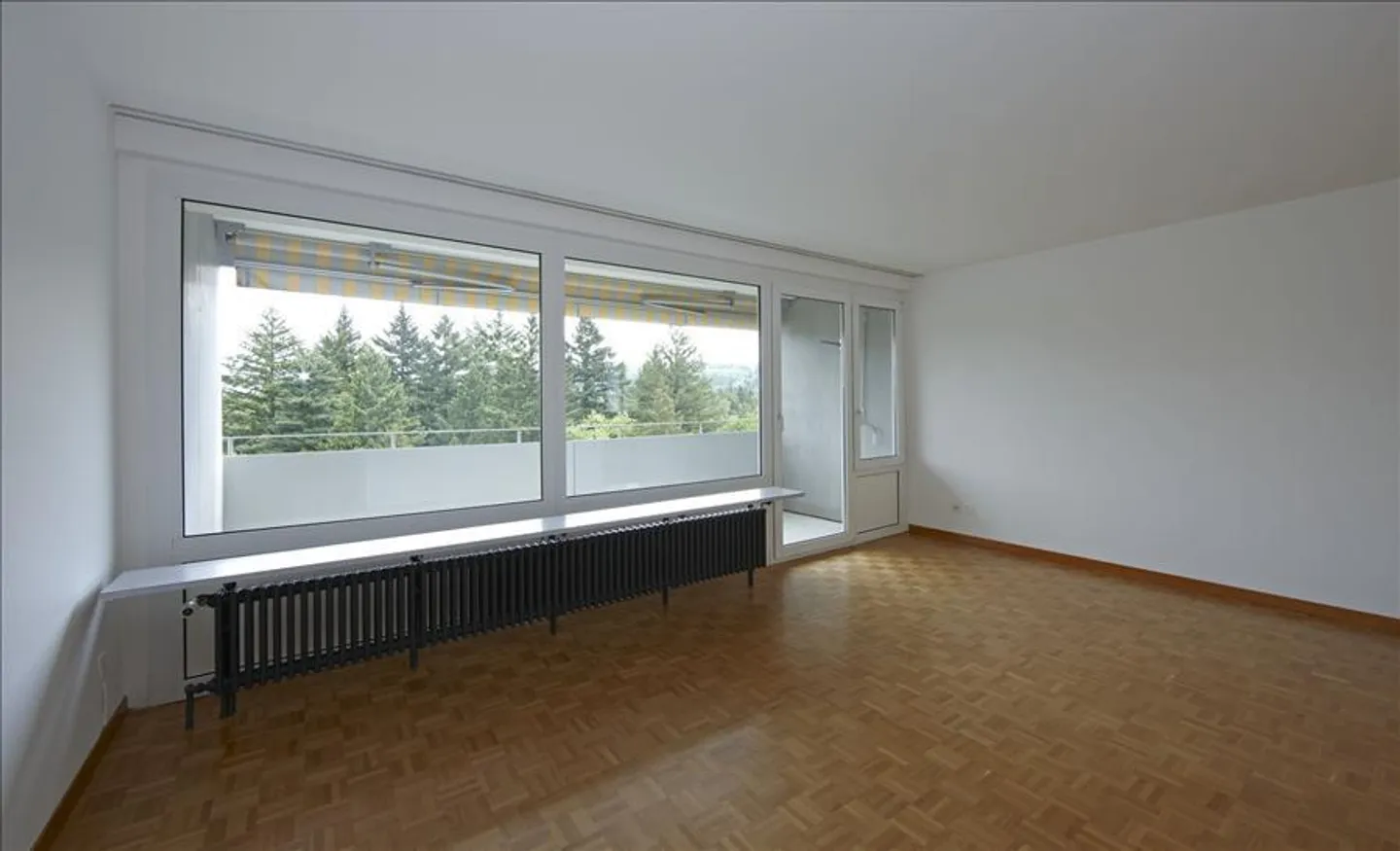 Voir plus loin que les autres! - Photo 1 sur 8