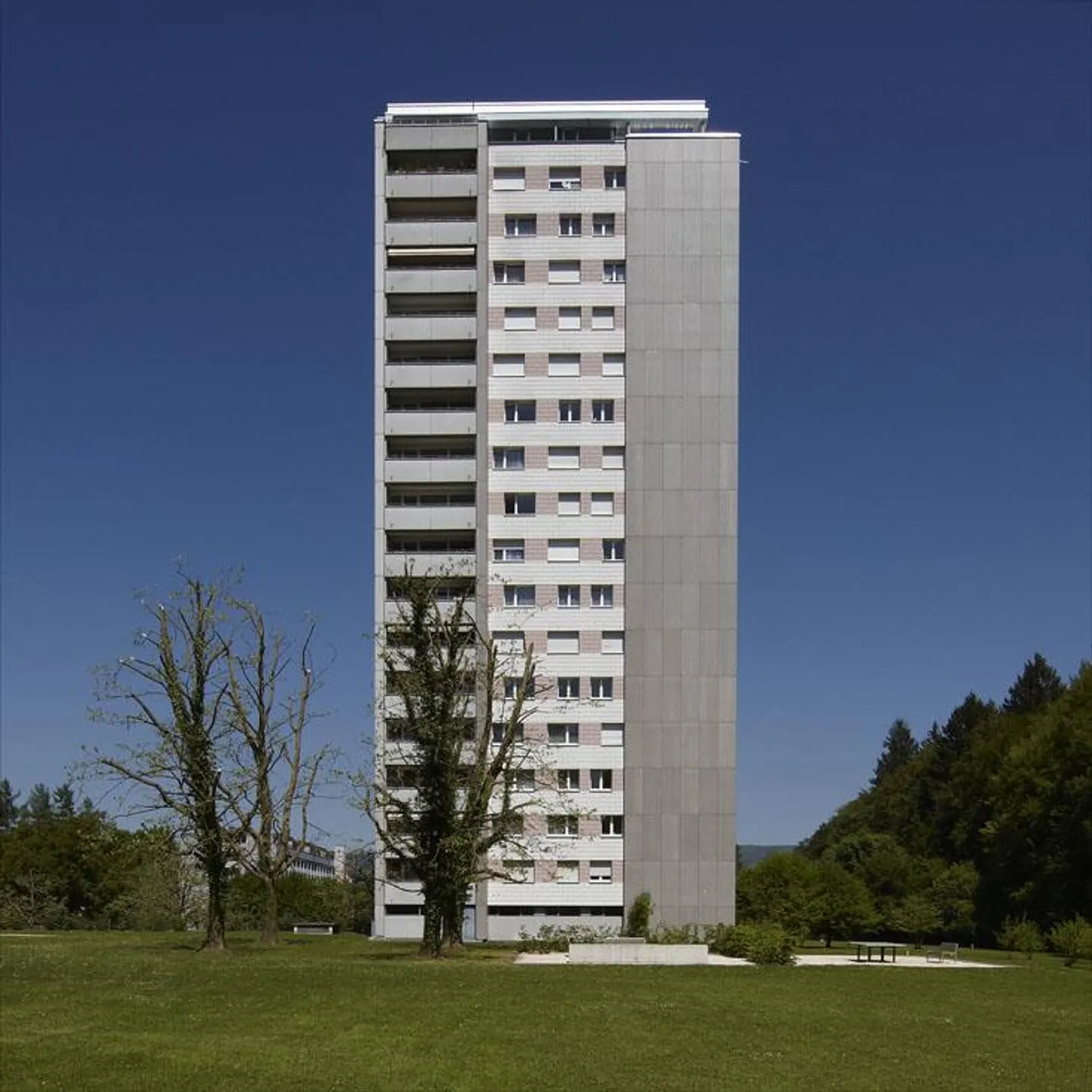 Voir plus loin que les autres! - Photo 3 sur 8