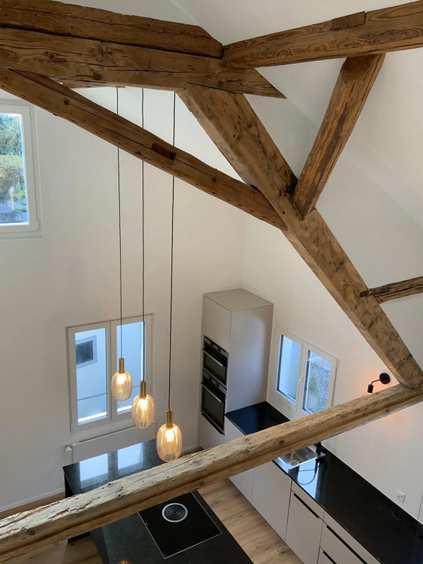 Modern home with a separate apartment - Photo 4 of 20