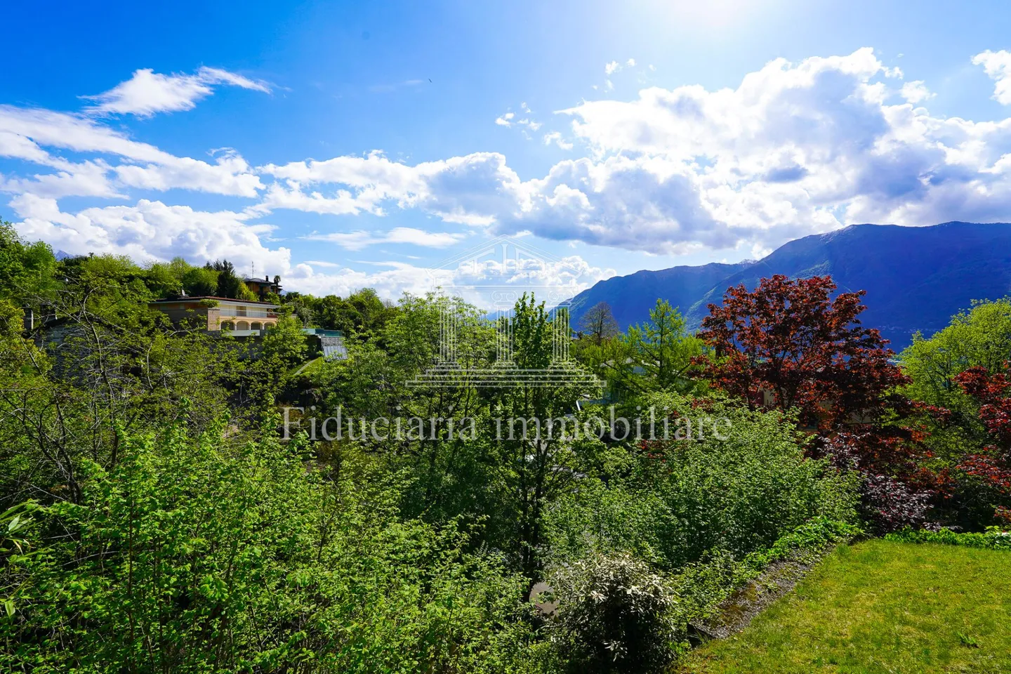 ASCONA - 3.5-Zimmer-Wohnung mit Natur, Komfort und Qualität vereint - Foto 2 von 14