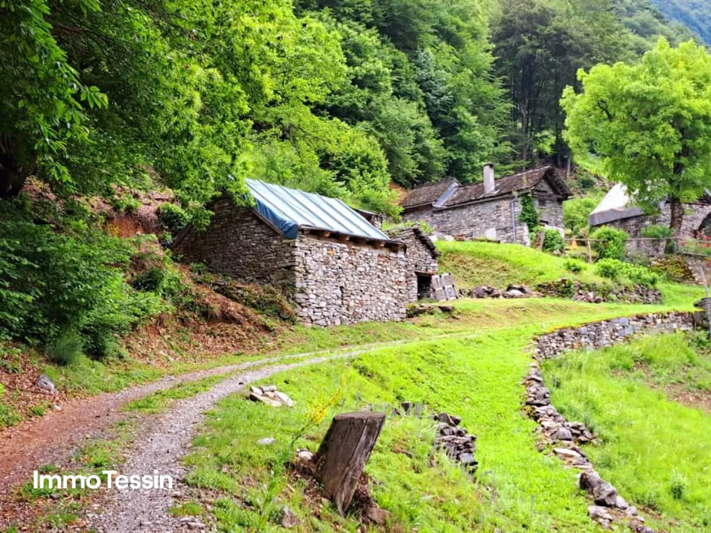 Votre rêve rustique à Maggiatal avec permis de construire - Photo 11 sur 13