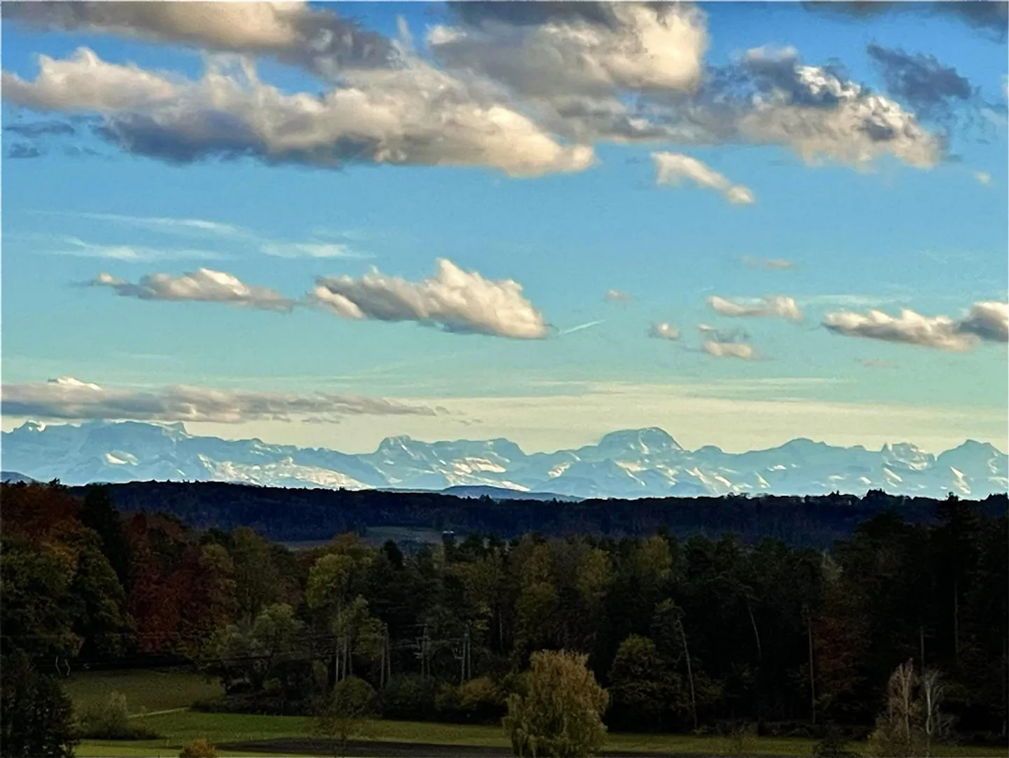 6 ½ Maison individuelle détachée avec galerie - Photo 6 sur 14