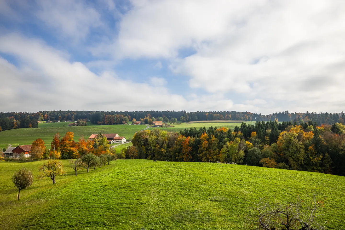 Modernes Apartment mit Aussicht - Foto 3 von 8