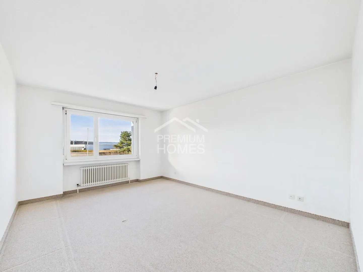 Rare Opportunity! - Photo 4 of 6