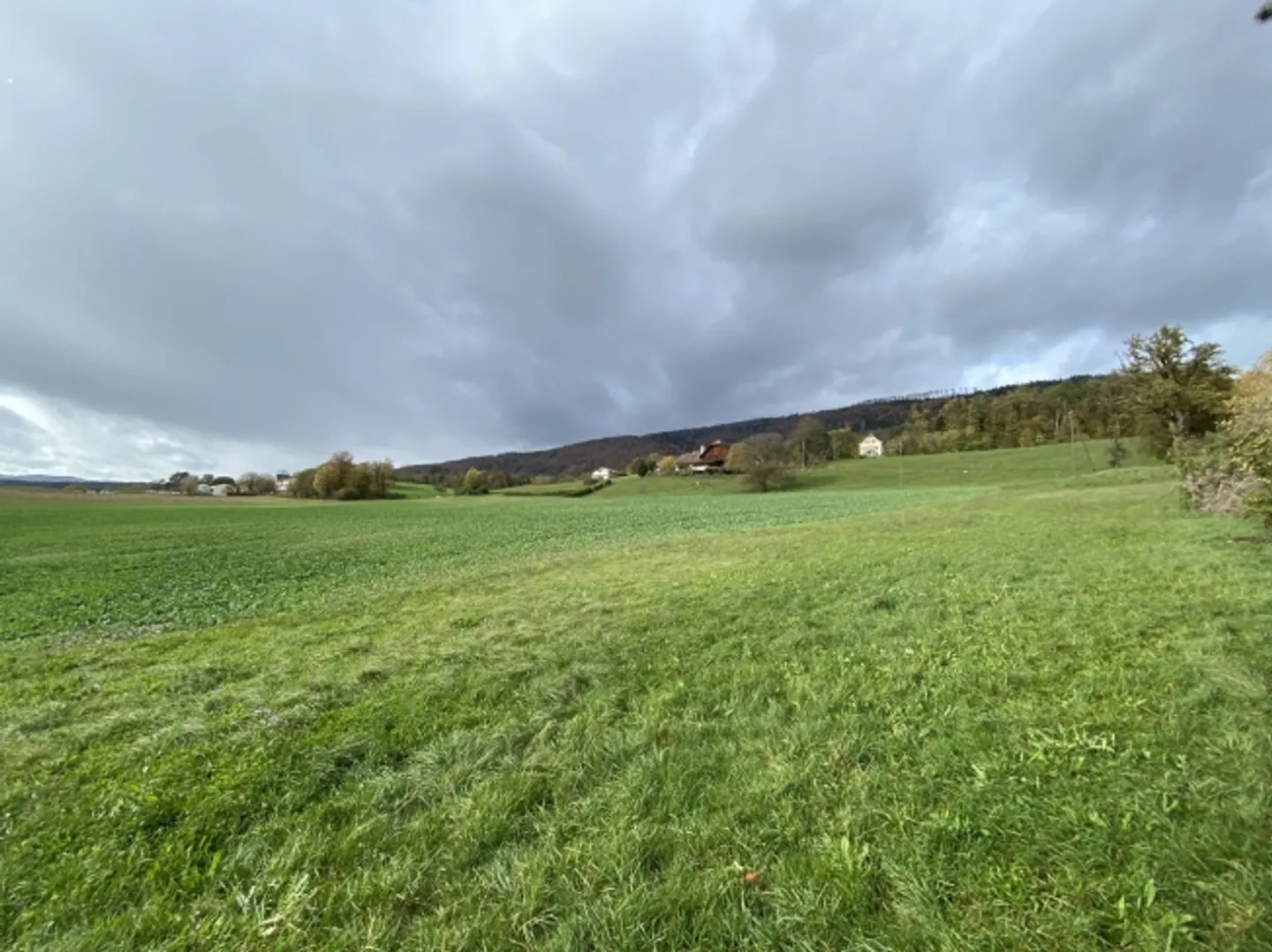 1966 m2 plot ideally located in a residential area - Photo 1 of 6