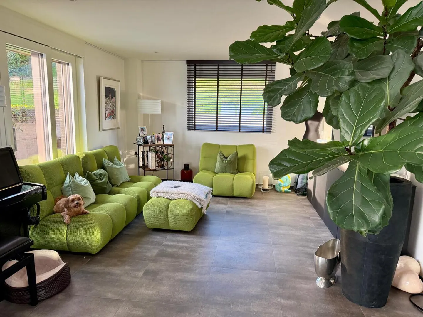 Single house for rent - Photo 5 of 16