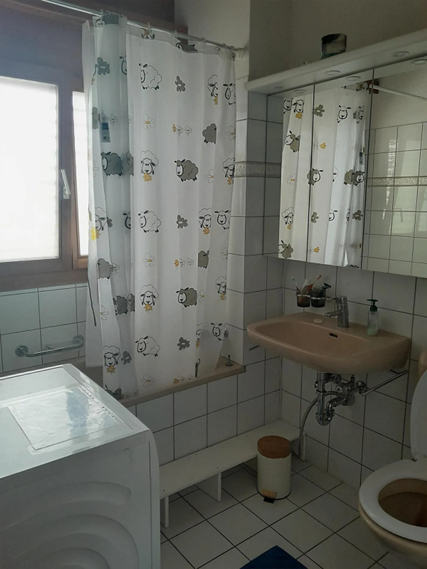 4.5-room penthouse apartment with gallery & two balconies in Bonaduz - Photo 11 of 12