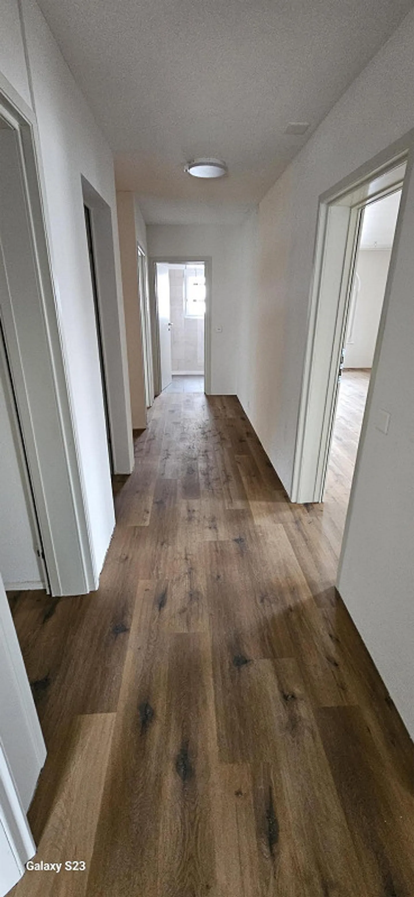 3.5 Room Apartment - Photo 4 of 9