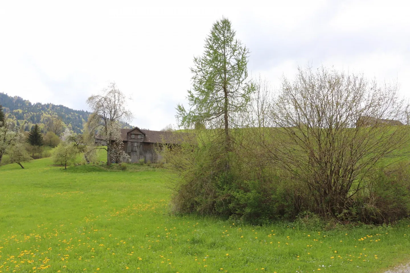 EFH Project "Moos" Ebnat-Kappel - Photo 4 of 12