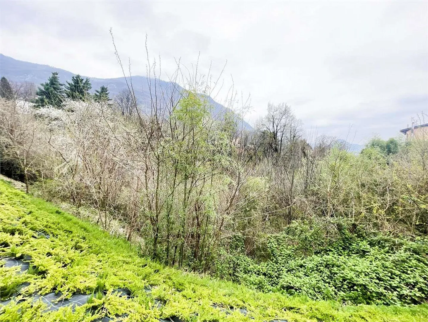 «Natur erleben. Ihr Zuhause mit privatem Garten» - Foto 10 von 13