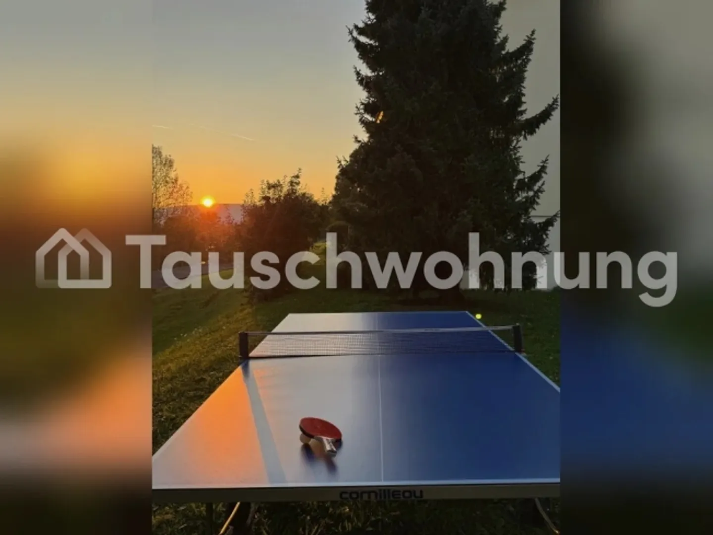 Appartamento luminoso 3 locali con giardino - Foto 1 di 1