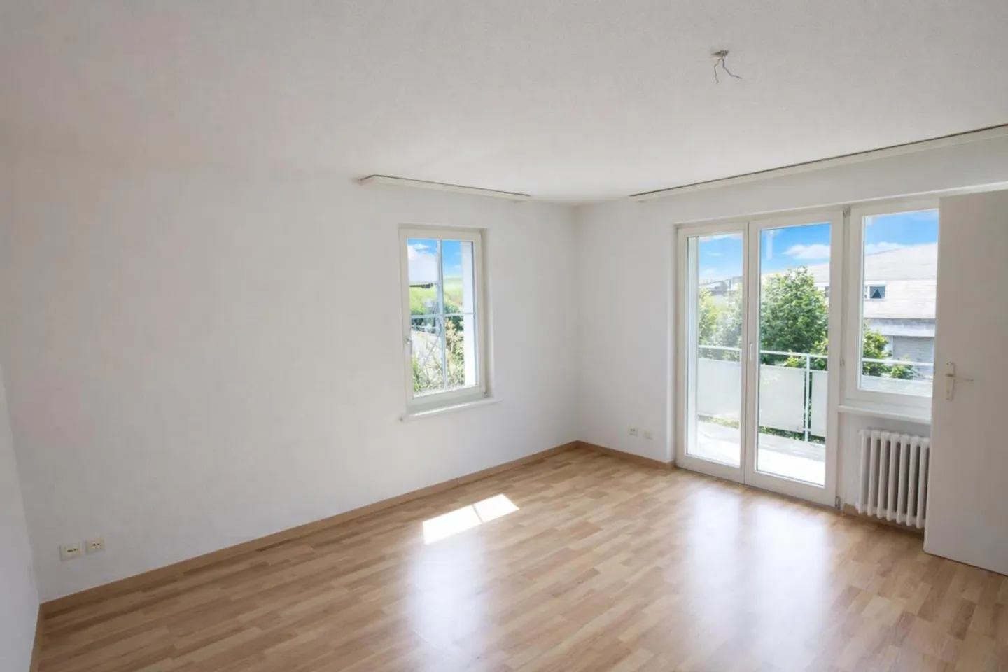 En quelques minutes au bord du lac... - Photo 4 sur 5