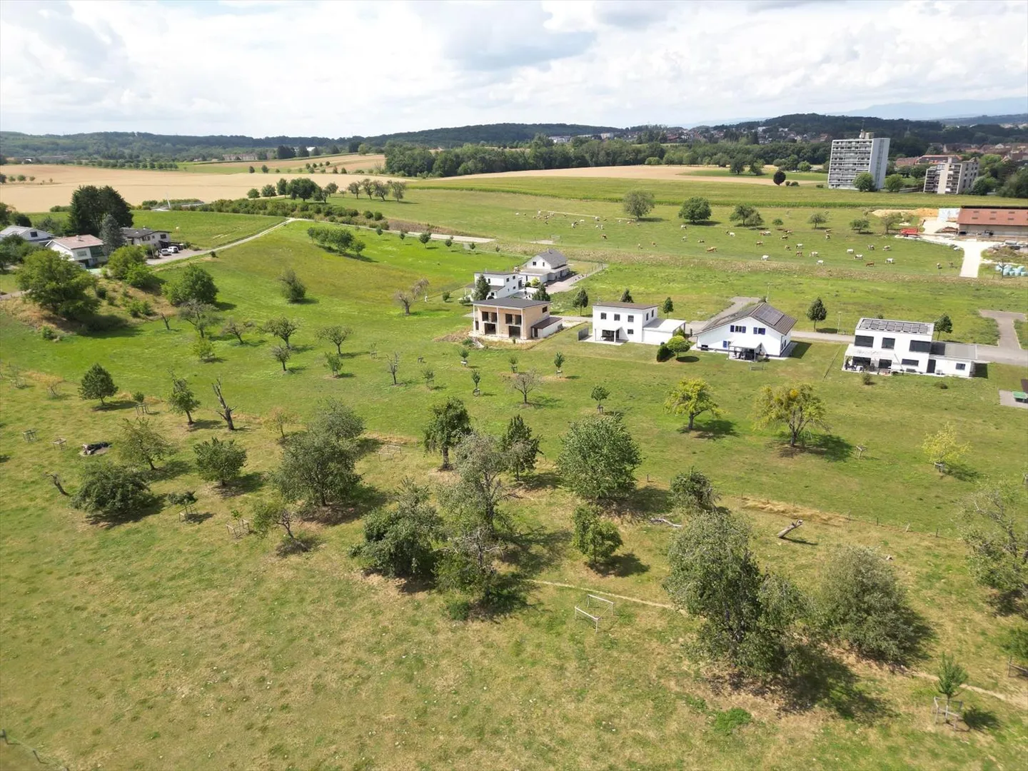 Realizza la tua visione - Due case da completare in un ambiente verde - Foto 6 di 13