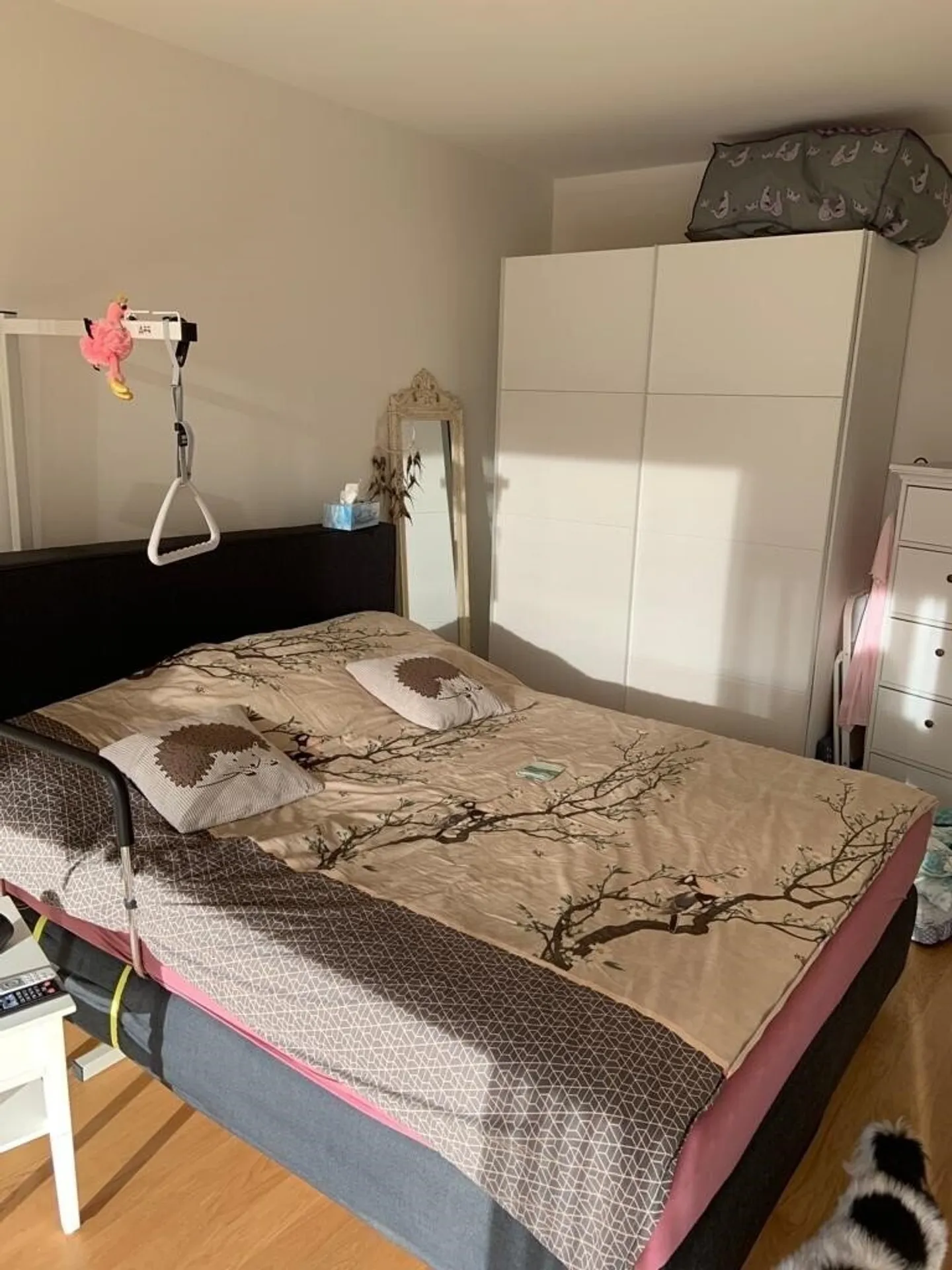 Logement Indépendant pour Seniors - Photo 5 sur 7